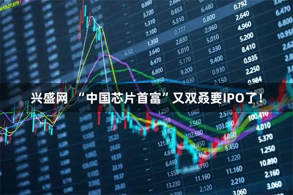 兴盛网  “中国芯片首富”又双叒要IPO了！