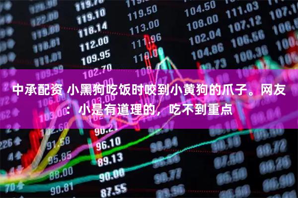 中承配资 小黑狗吃饭时咬到小黄狗的爪子。网友：小是有道理的，吃不到重点